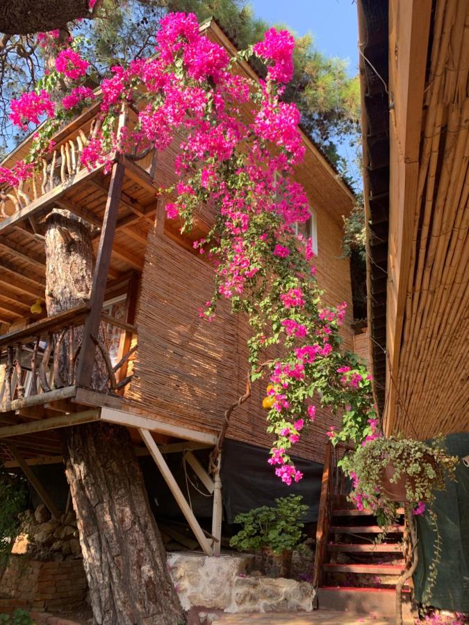Large Bungalow With Sea View In Kabak Bay, Oeluedeniz Фетхие Экстерьер фото